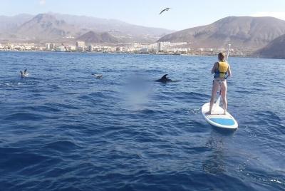 SUP and Snorkeling Adventure in Los Cristianos Beach