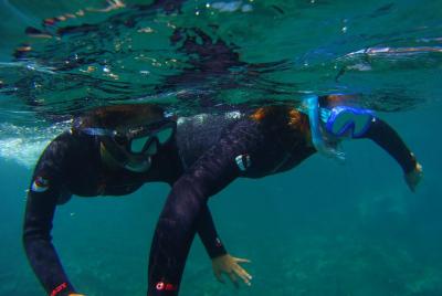 Snorkeling in a Wonderful Volcanic Bay
