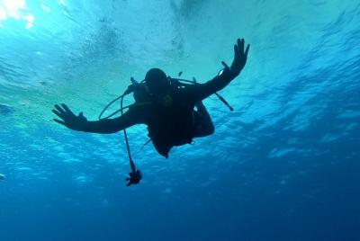 Scuba Diving Excursion in the South of Tenerife Scuba Diving Excursion in the South of Tenerife