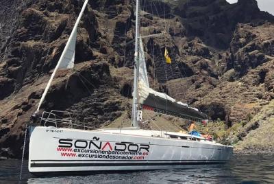 3 Hours All Inclusive Whale and Dolphin Whatching Yacht Trip 3 Hours All Inclusive Whale and Dolphin Whatching Yacht Trip