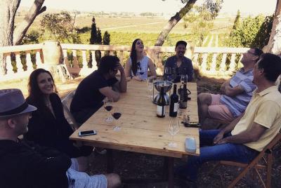 Valencia Wine Tour Wineries in Utiel Requena