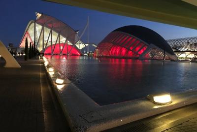 Valencia City of Arts and Sciences and Seaport Private Segway Nig