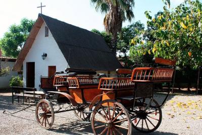 Paella Lunch and Rural Activities in a Valencian Garden Farmhouse