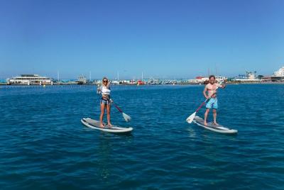 Stand Up Paddling Boarding Tour and Seaside Paella Lunch in Valen