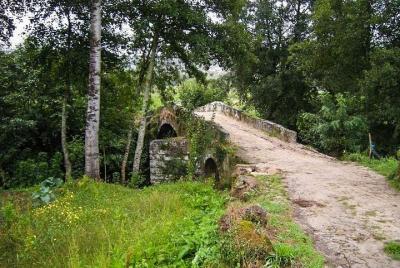 El Camino Portugues: from Tui to Santiago de Compostela 8 days an El Camino Portugues: from Tui to Santiago de Compostela 8 days an