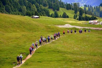 "Camino de Santiago": PORTUGUESE WAY. Private Walking Tour from Tui