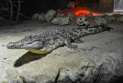 Zaragoza Aquarium Admission Ticket Zaragoza Aquarium Admission Ticket