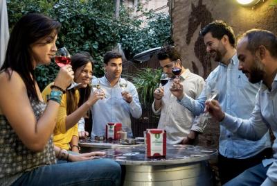 Wine Tasting and Tapas in the ancient Town of Zaragoza Wine Tasting and Tapas in the ancient Town of Zaragoza