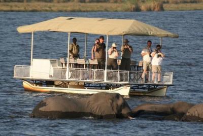 Chobe Full Day Trip (From Victoria Falls) Chobe Full Day Trip (From Victoria Falls)