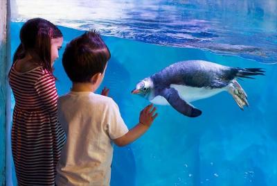 SEA LIFE Birmingham Admission Ticket SEA LIFE Birmingham Admission Ticket