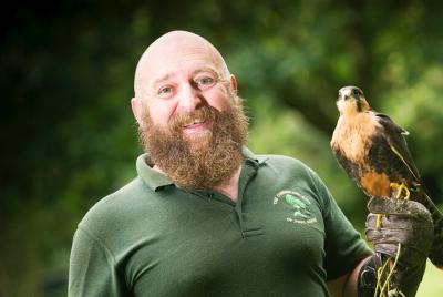 Private Family Bird of Prey Experience in Carlisle