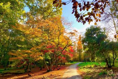 Cotswolds - The BIG Scavenger Hunt Adventure