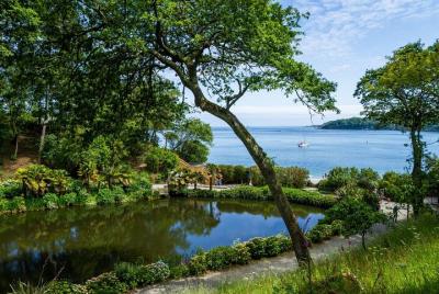 2-Hour Guided Tour of Cornish Garden with an Experienced Horticul