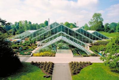 Visit Kew Gardens & 3 Hour Westminster Walking Tour Visit Kew Gardens & 3 Hour Westminster Walking Tour