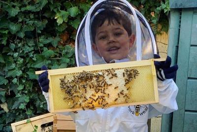 Discover active beehives in London