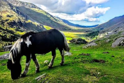 Full-Day North Wales Sightseeing Adventure from Manchester  Full-Day North Wales Sightseeing Adventure from Manchester