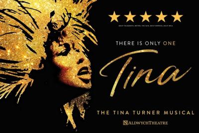 Tina Turner Theater Show in London