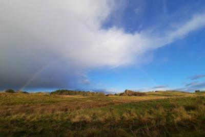 4-Hour Hadrian’s Wall Guided Tour  4-Hour Hadrian’s Wall Guided Tour
