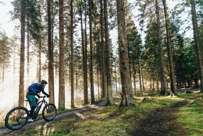 Guided E-Bike Day Trips Dorset