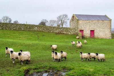 Full-Day, Small-Group Yorkshire Dales Tour from York Full-Day, Small-Group Yorkshire Dales Tour from York