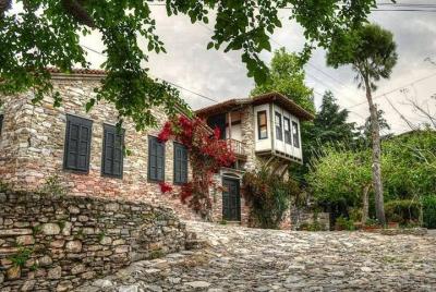 Kusadasi Port to Ephesus, Terrace Houses, Selcuk Museum, Temple o