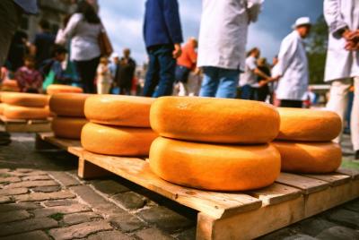 Charming Gouda Cheese Tasting Tour