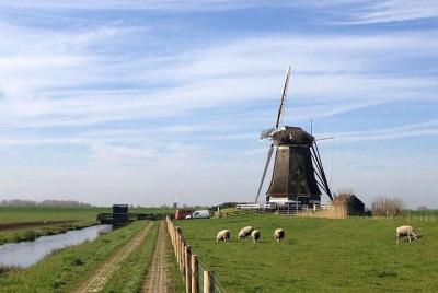 Private Full-Day Customizable Tour of Holland, from Rotterdam or  Private Full-Day Customizable Tour of Holland, from Rotterdam or