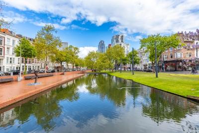 Discover Rotterdam in 90 Minutes with a Local Discover Rotterdam in 90 Minutes with a Local