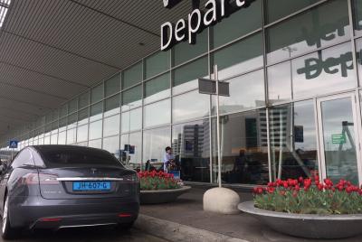 Private Tesla Taxi from Delft to Schiphol Amsterdam Airport