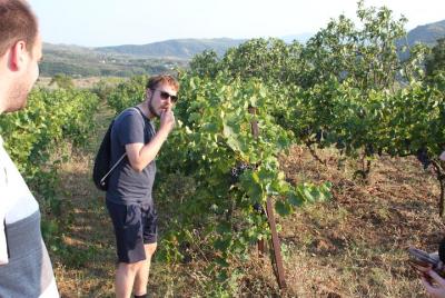 Bogove Waterfall tour and wine tasting/ by Berat City Tours  Bogove Waterfall tour and wine tasting/ by Berat City Tours