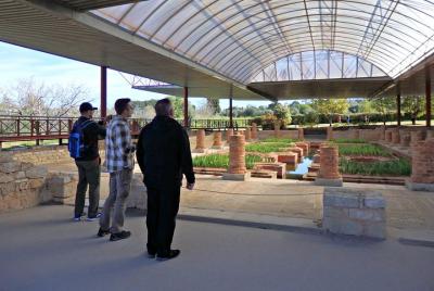 Discovering Conimbriga and the Sicó Caves (full day)