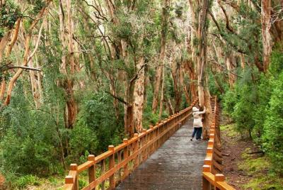 Bariloche 3 tours Classic package Bariloche 3 tours Classic package