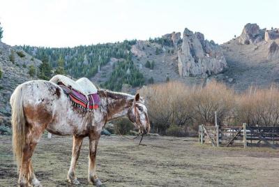 La Fragua Horseback Riding La Fragua Horseback Riding