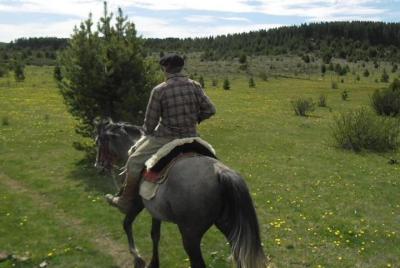 Haneck horseback riding