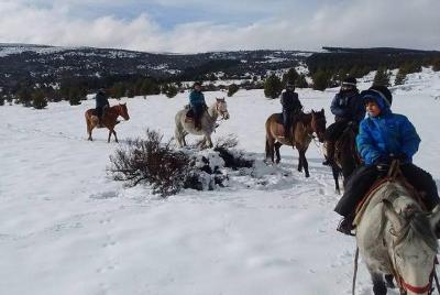Horseback Riding Full Day with Asado in San Carlos de Bariloche, Argentina