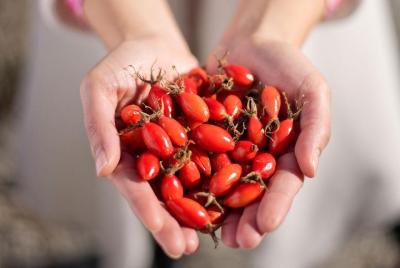 Factory of Natural Oils and Organic Functional Foods Factory of Natural Oils and Organic Functional Foods