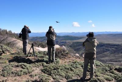 Photo Discovering Condors & Birdwatching - Full Day Tour in Private Service Photo Discovering Condors & Birdwatching - Full Day Tour in Private Service