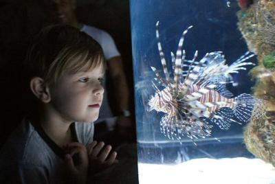 Temaiken Biopark Buenos Aires Tour Temaiken Biopark Buenos Aires Tour