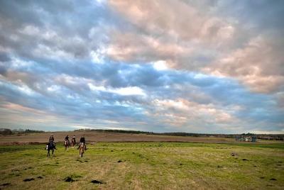 Horseback guided tour in the Green Forest Landscape Park Horseback guided tour in the Green Forest Landscape Park