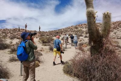 2-Day Tour to Algarrobal, Los Colorados and La Poma from Cachi 2-Day Tour to Algarrobal, Los Colorados and La Poma from Cachi