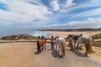 Welcome to Carrapateira Horse Riding Tour Welcome to Carrapateira Horse Riding Tour