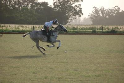 Horse & Polo Trip in Mar del Plata, Argentina Horse & Polo Trip in Mar del Plata, Argentina