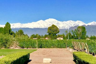Half Day Private WineTour, Lujan de Cuyo Half Day Private WineTour, Lujan de Cuyo