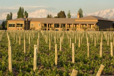 Mendoza Wine Tour with Lunch Mendoza Wine Tour with Lunch
