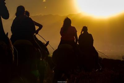 Sunset Horseback Riding Sunset Horseback Riding