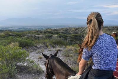 Criolla Horseback Riding  Criolla Horseback Riding