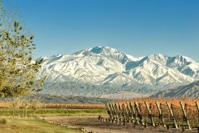 7-Day Mendoza & Bariloche Adventure: Horseback riding, Wine, Trek 7-Day Mendoza & Bariloche Adventure: Horseback riding, Wine, Trek