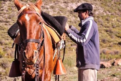 7-Day Mendoza & Santiago de Chile Adventure tour