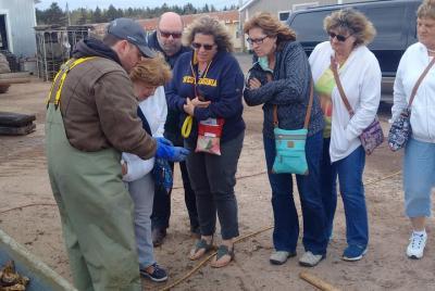 Davids North Shore Tour