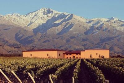 Vineyards with Wine Tasting in Mendoza Vineyards with Wine Tasting in Mendoza